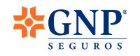 GNP